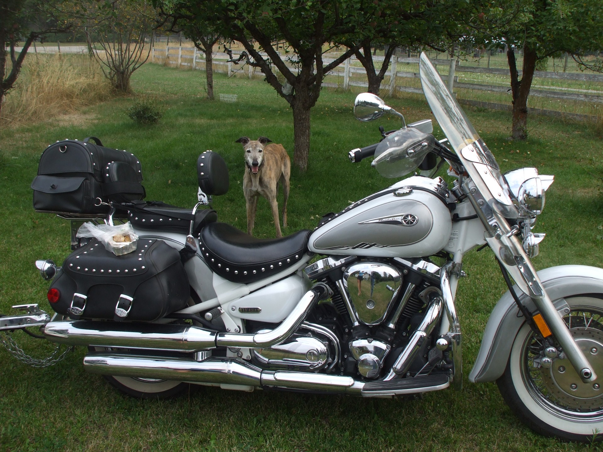 Lunch with my pal that has lovely long legs, four of them!